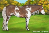 Horse Color:Silver Black Sabino