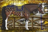 Horse Color:White Spotted Brown 