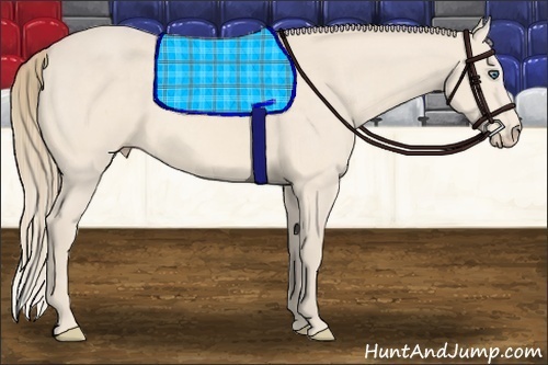 Horse Color:Perlino