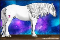 Horse Color:Watercolor Grullo Splash Appaloosa Rabicano 