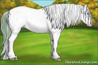 Horse Color:Watercolor Bay Roan Splash Appaloosa