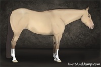 Horse Color:Amber Champagne Roan Dun