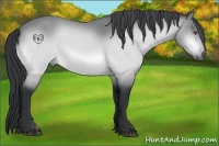 Horse Color:Bay Chinchilla 