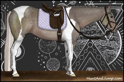 Horse Color:Silver Black Tobiano 