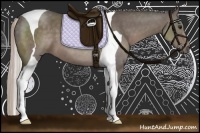 Horse Color:Silver Black Tobiano