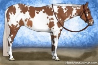 Horse Color:White Spotted Silver Bay 
