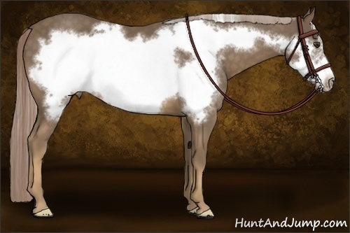 Horse Color:Chocolate Palomino Frame 