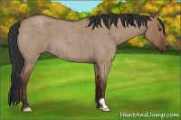 Horse Color:Bay Roan Dun Frame 