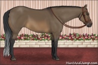 Horse Color:Brown Dun 