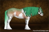 Horse Color:Watercolor Brown Splash Tobiano 
