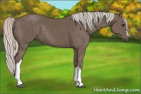 Horse Color:Silver Black 