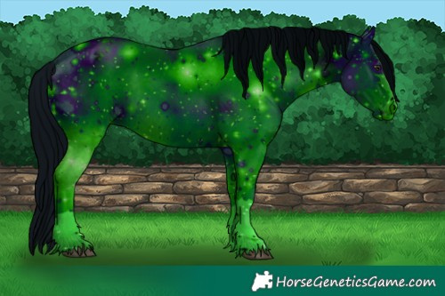 Horse Color:ERROR: UNKNOWN ANOMALY