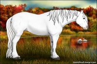 Horse Color:White Spotted Silver Bay Splash Appaloosa 