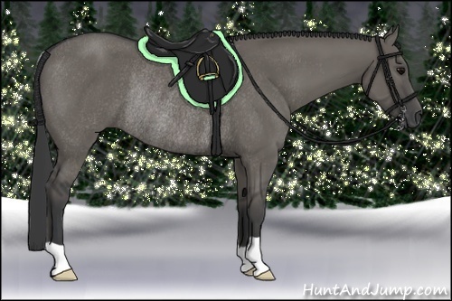 Horse Color:Grullo Rabicano 