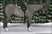 Horse Color:Grullo Rabicano 