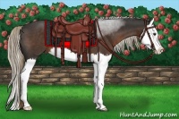 Horse Color:Liver Chestnut Splash 