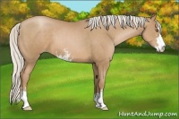 Horse Color:Silver Black Pearl Sabino
