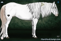 Horse Color:Liver Chestnut Snowflake Varnish Rabicano