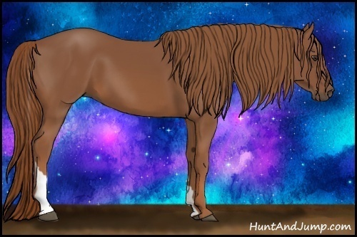 Horse Color:Chestnut Tobiano 