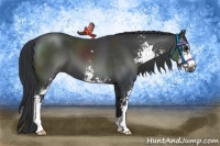 Horse Color:Black Sabino 