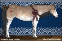 Horse Color:White Spotted Buckskin Sabino