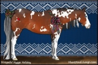 Horse Color:White Spotted Bay Splash 