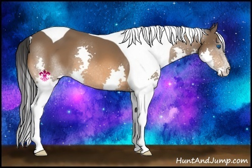 Horse Color:Bay Splash Tobiano 