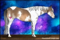 Horse Color:Bay Splash Tobiano