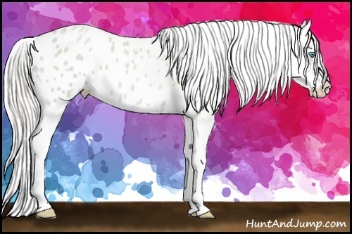 Horse Color:Silver Smoky Grullo Ice Pearl Splash Appaloosa 