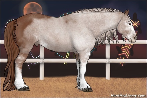 Horse Color:Chestnut Sabino