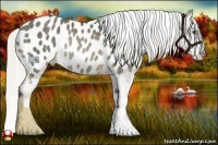 Horse Color:Chocolate Palomino Appaloosa Rabicano