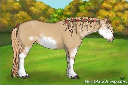 Horse Color:Red Dun Sabino Frame Rabicano