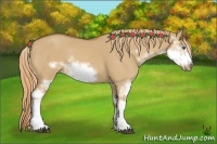 Horse Color:Red Dun Sabino Frame Rabicano
