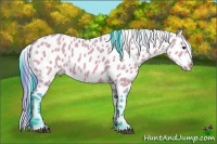 Horse Color:Watercolor Bay Dun Near Leopard