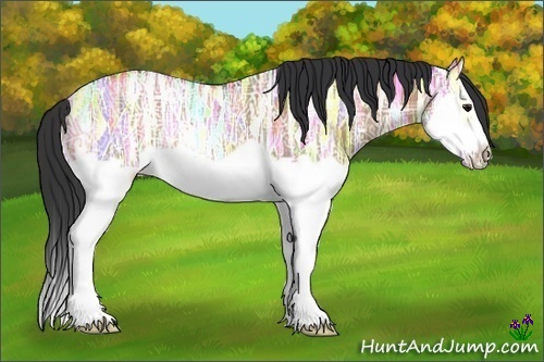 Horse Color:Bay Ice Dun Splash Frame Rabicano