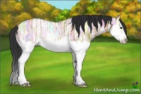Horse Color:Bay Ice Dun Splash Frame Rabicano