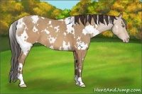 Horse Color:White Spotted Sable Champagne