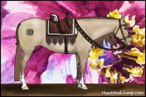 Horse Color:Grullo Pearl Sabino 