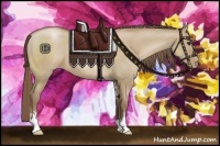 Horse Color:Grullo Pearl Sabino