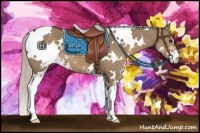 Horse Color:White Spotted Silver Grullo Sabino