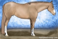 Horse Color:Liver Chestnut Pearl
