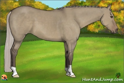 Horse Color:Silver Grullo 