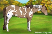 Horse Color:White Spotted Classic Champagne 