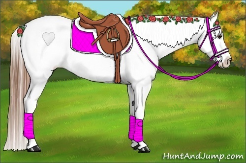 Horse Color:White Spotted Red Dun Blanket