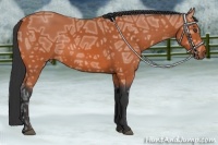 Horse Color:Bay Ice 