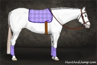 Horse Color:Smoky Black Splash Tobiano Appaloosa 