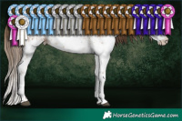 Horse Color:White Spotted Brown Pearl Sabino 