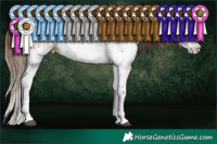 Horse Color:White Spotted Brown Pearl Sabino