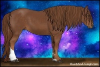 Horse Color:Chestnut Tobiano 