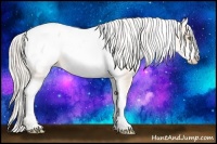 Horse Color:White Spotted Silver Amber Champagne Snowcap